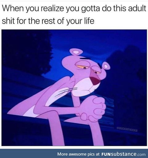 Adulting is no fun