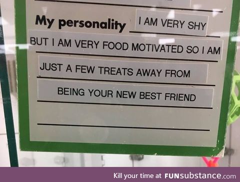 My personality also