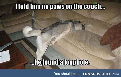 This is something my dog would do lol