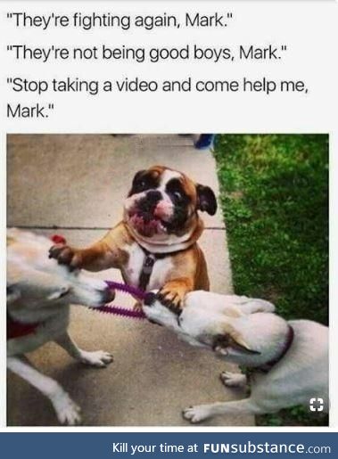 They're fighting again, Mark