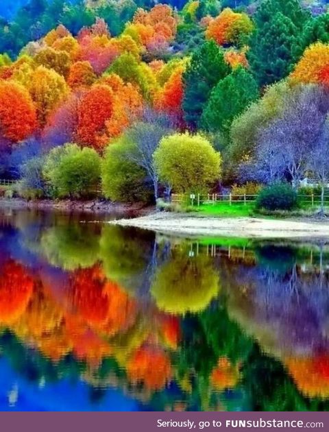 Autumn colors reflected in water