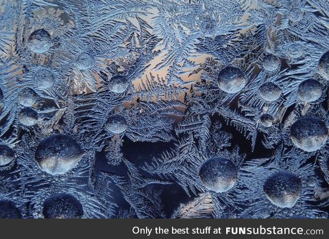 A bit of frost from my window