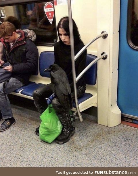 Bring your raven to work day