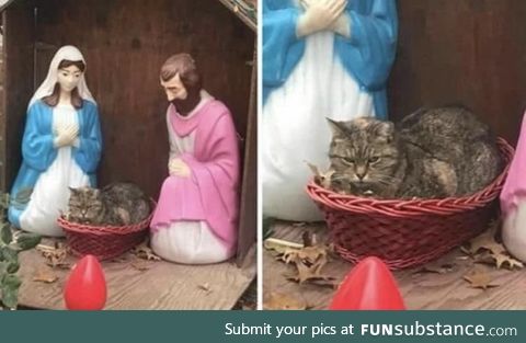 Baby Jesus seems to be a bit grumpy