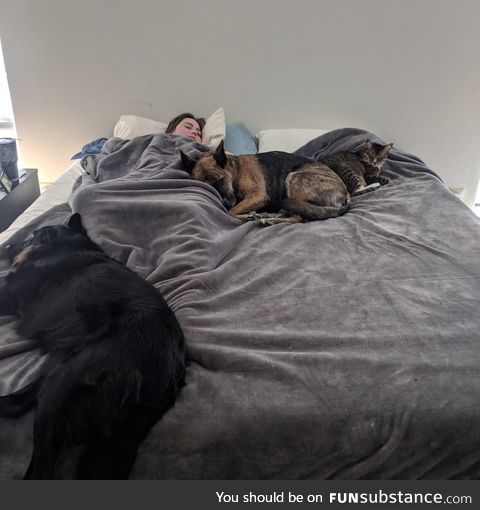 Girlfriend had surgery, luckily she has 3 nurses to help keep her comfy