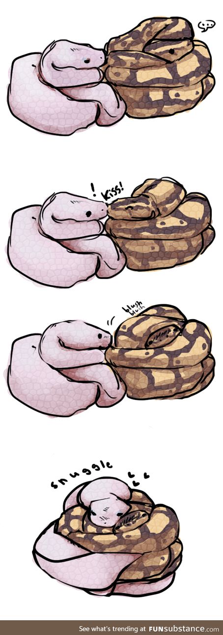 Snek Snuggles