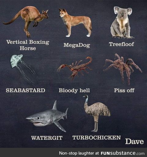 New names of Australian animals to celebrate Australia day