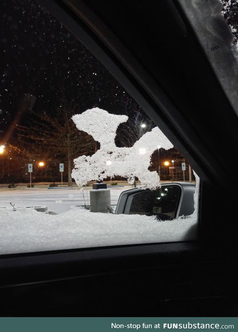 This ice dragon on my window