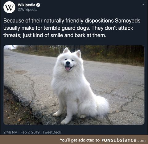 Majestic friendly cloud