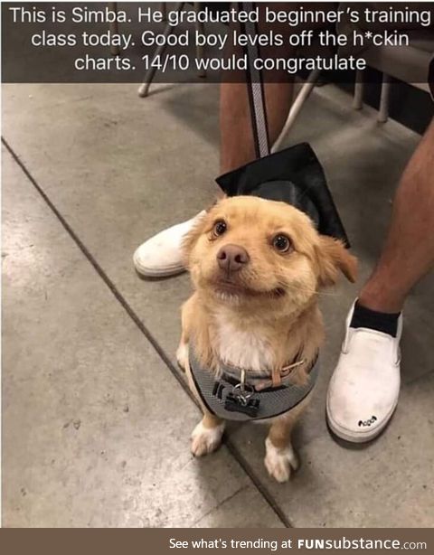 He looks so proud