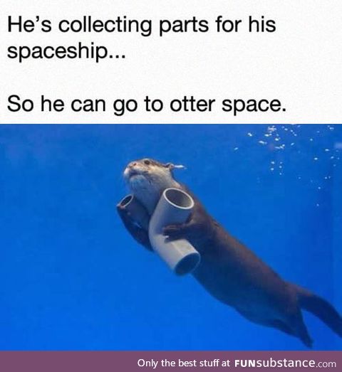 Otterly clever