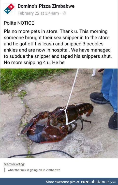 Snib snab, I desire a sea snipper