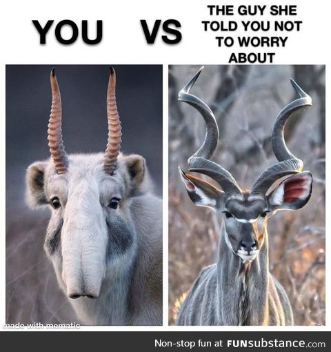 You VS The gazelle she tells you not to worry anout