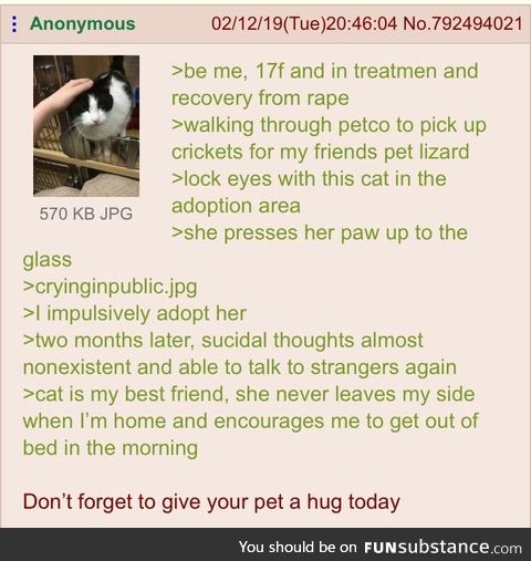 Pets are the best