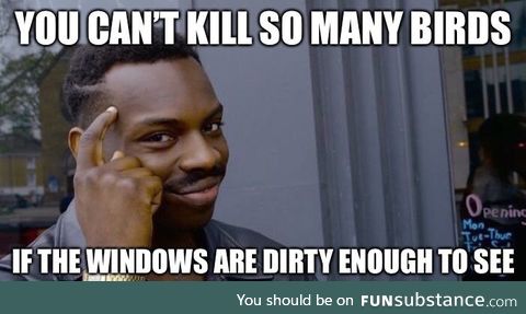 My gf has been on me about cleaning the windows