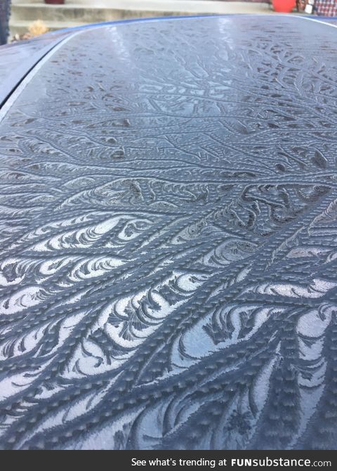 The way the ice froze on my car this morning