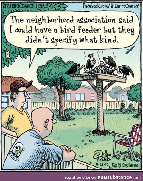 The bird feeder