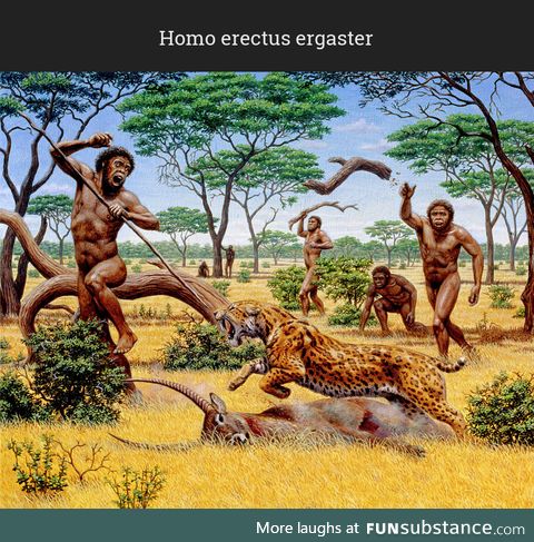 Daily Dose of Prehistory: Back From Extinction 35