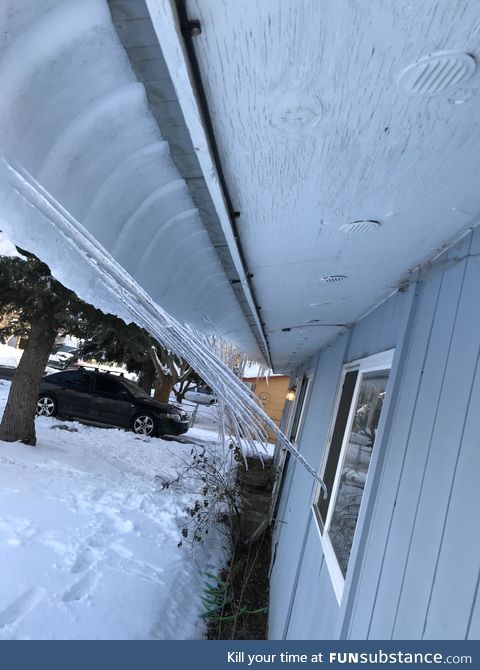 My house is trying to bite itself