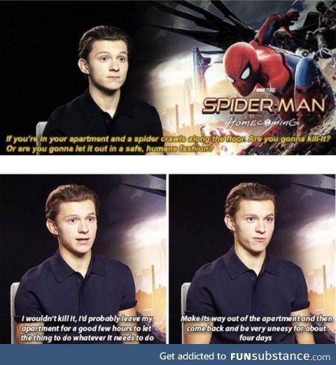 Tom Holland is all of us