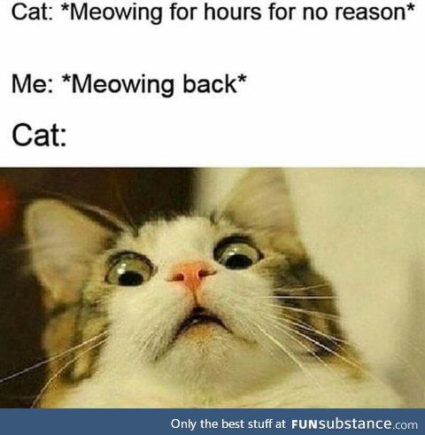 Meow meow mf