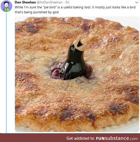 Pie bird