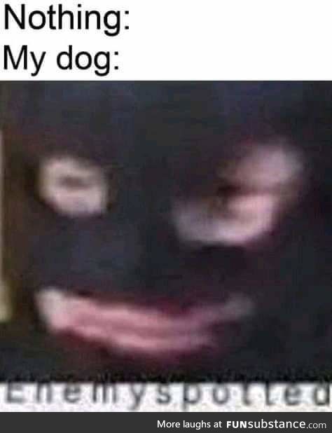 *BORK Intensifies*