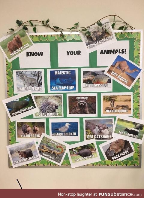 Know your animals