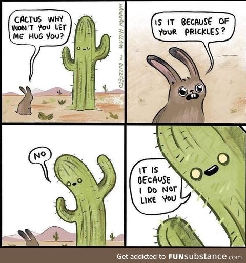 `Being a Cactus has its pros and cons