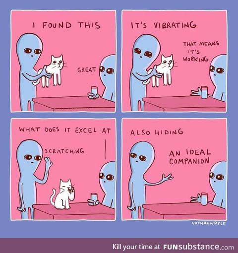 Cats