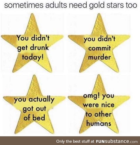 Gold Stars for Grad Students