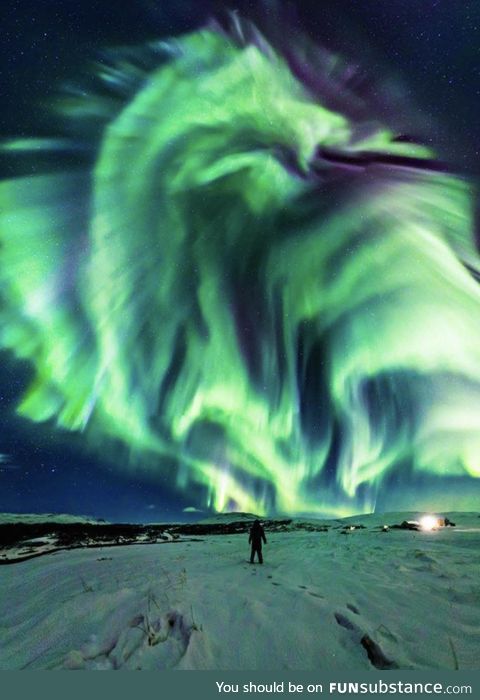 Dragon Aurora over Iceland