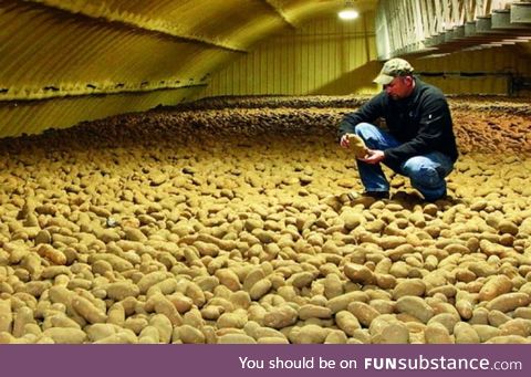  veteran doesn't know what to do with all the potatoes left since people stopped