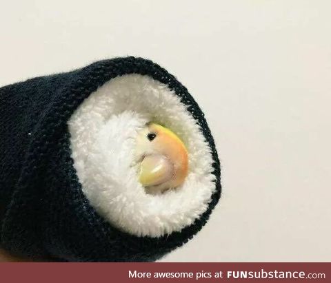 Forbidden sushi