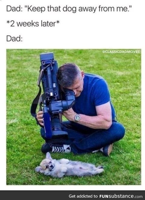 Dad's hate pets