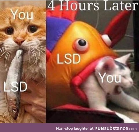 5 min into LSD and chill and it gives you this look