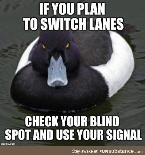 I’m seriously going to start honking at morons who do this. You learn this in driving