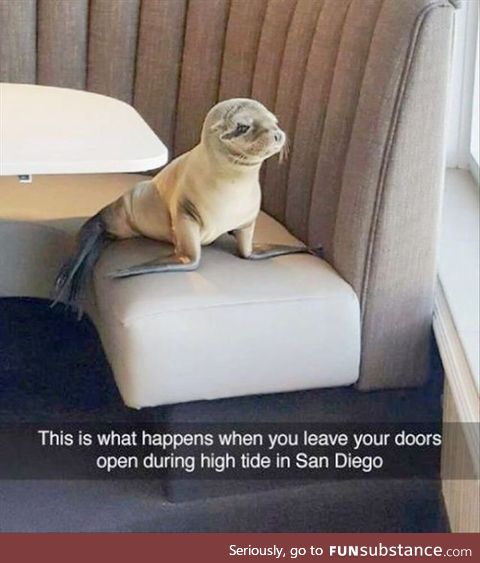 It’s San Diego ???