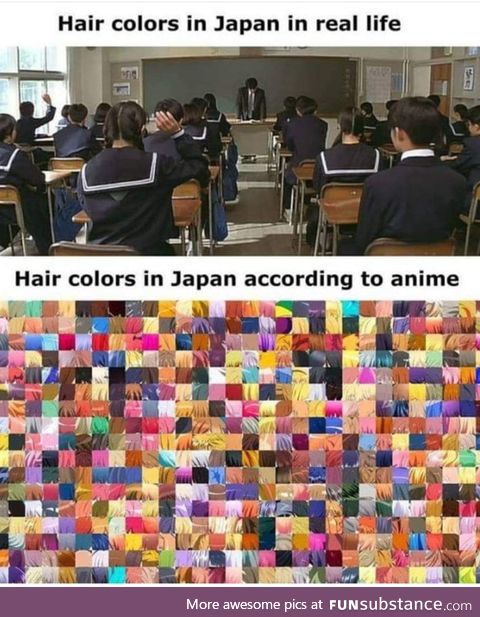 Real Japan vs Anime