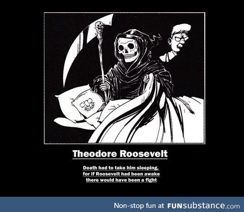 My favorite quote about the life and death of Theodore Roosevelt