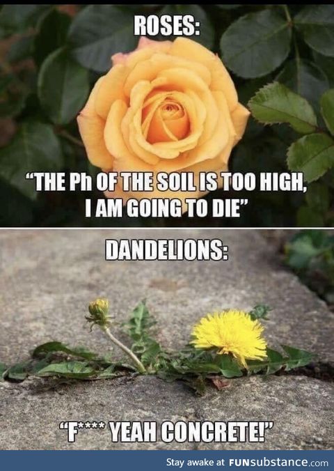 Flower logic