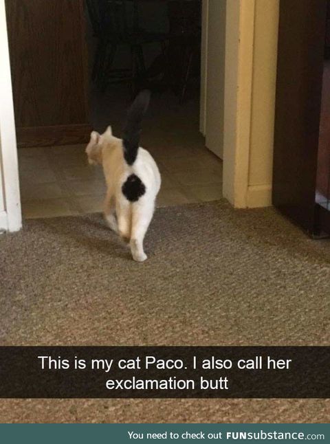 Paco!