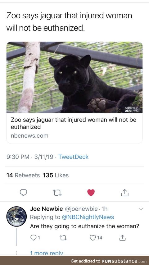 Fair question after idiot woman breaks into jaguar cage to take a selfie