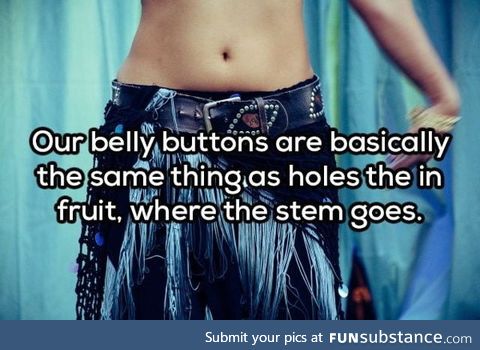 Belly button