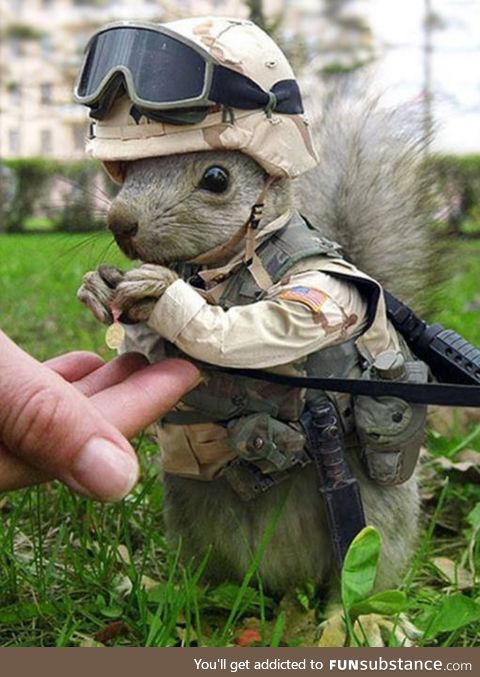 I googled marine animals and was not disappointed