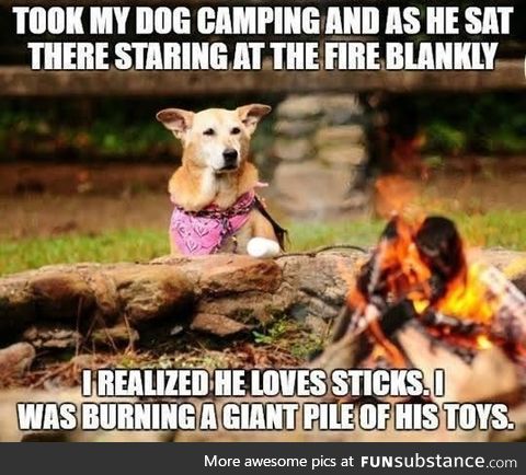 My dog won't go camping with me anymore