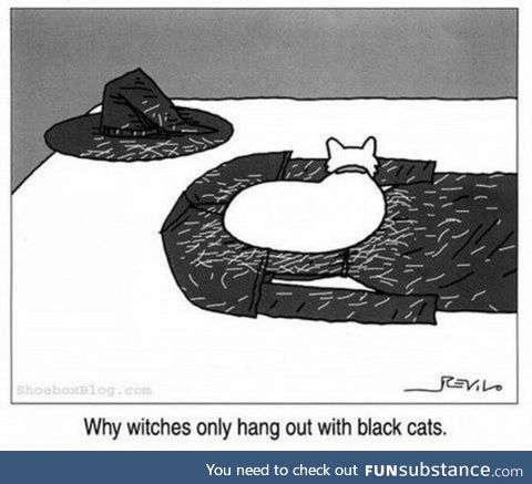 Black cat club
