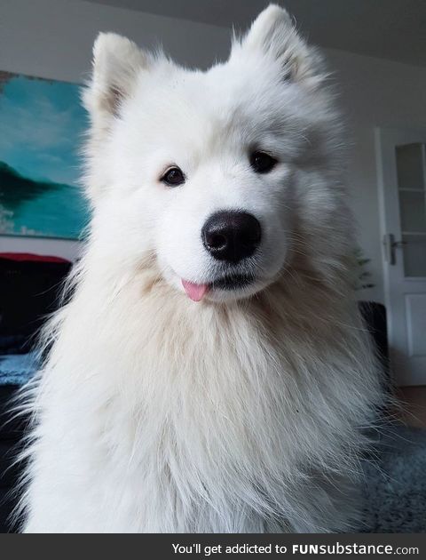 Cloud blep