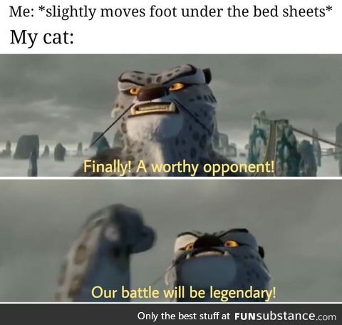 It's all fun and legendary battles until the claws pierce the sheet
