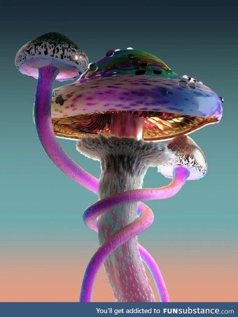 Mushroom is lit